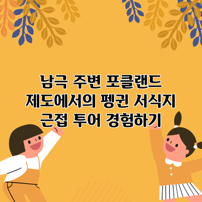 남극 주변 포클랜드 제도에서의 펭귄 서식지 근접 투어 경험하기