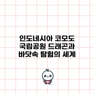 인도네시아 코모도 국립공원: 드래곤과 바닷속 탐험의 세계