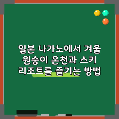 일본 나가노에서 겨울 원숭이 온천과 스키 리조트를 즐기는 방법