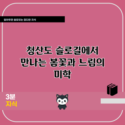 청산도 슬로길에서 만나는 봄꽃과 느림의 미학